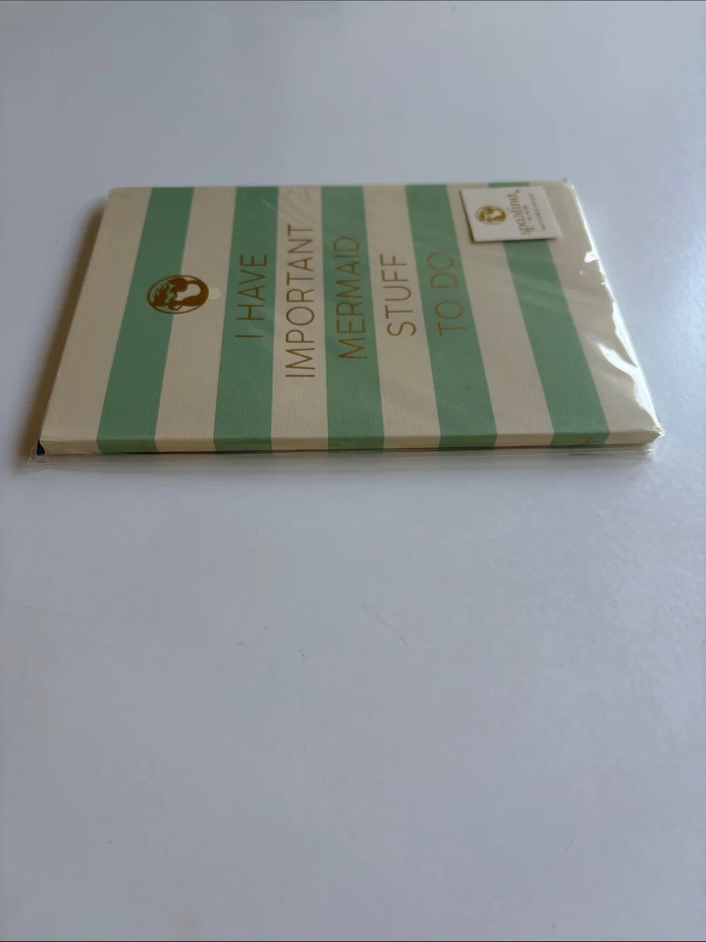 Spartina 449 Cream & Mint 'I Have Important Mermaid Stuff To Do' Notebook